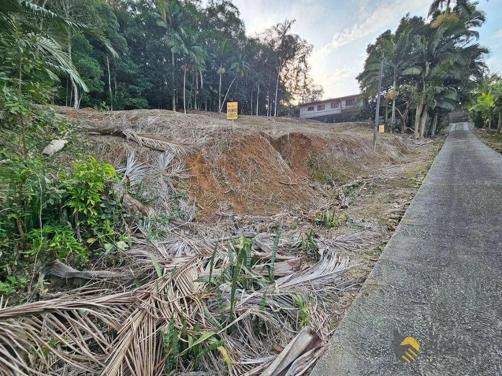 Terreno à venda, 3135 m por R$ 469.000,00 - Badenfurt - Blumenau/SC — foto 3