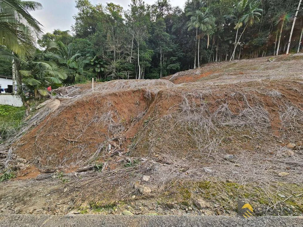Terreno à venda, 3135 m por R$ 469.000,00 - Badenfurt - Blumenau/SC — foto 5