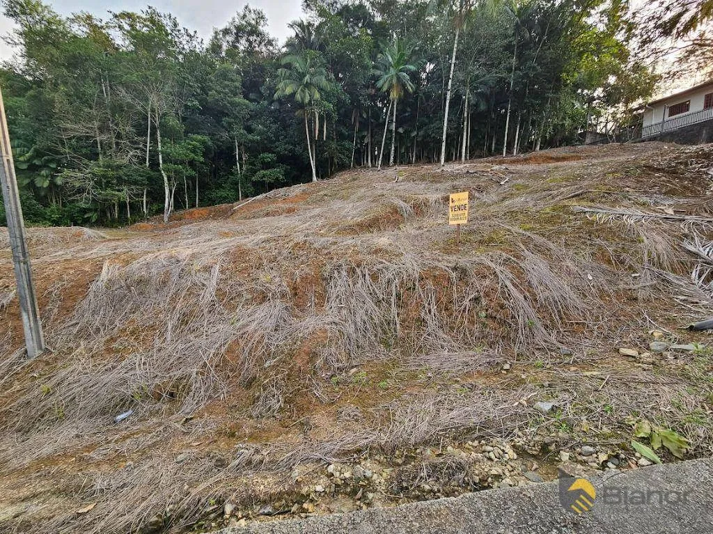 Terreno à venda, 3135 m por R$ 469.000,00 - Badenfurt - Blumenau/SC — foto 6