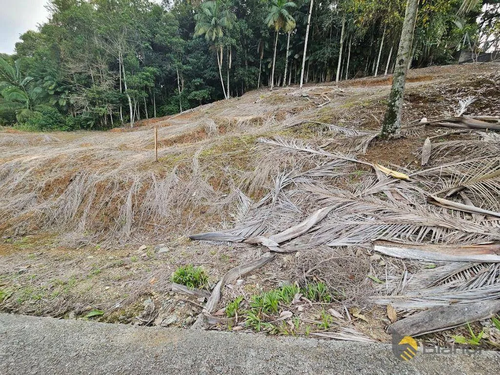 Terreno à venda, 3135 m por R$ 469.000,00 - Badenfurt - Blumenau/SC — foto 7