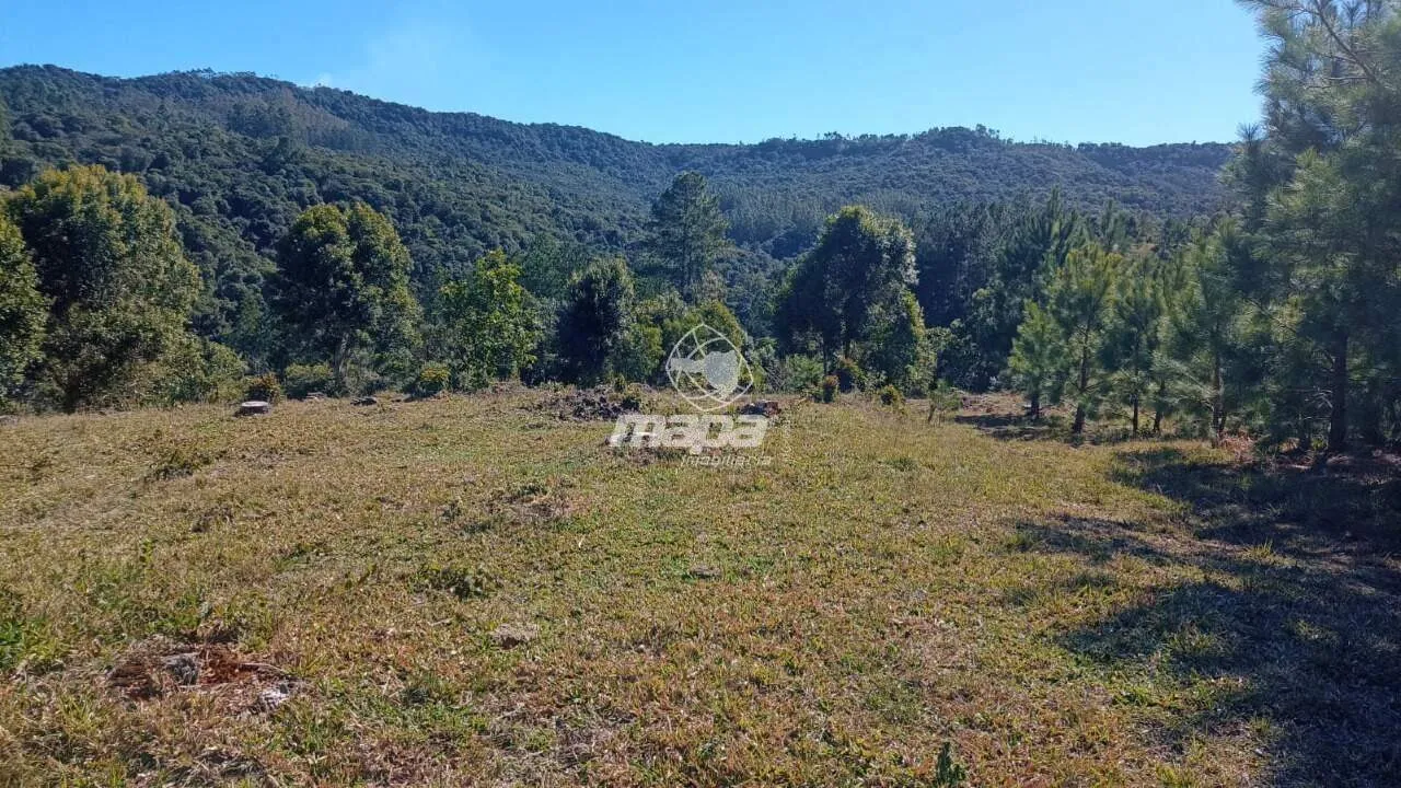 Terreno Rural à venda, Centro - Doutor Pedrinho/SC - foto 1