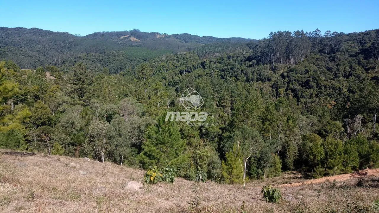 Terreno Rural à venda, Centro - Doutor Pedrinho/SC — foto 3