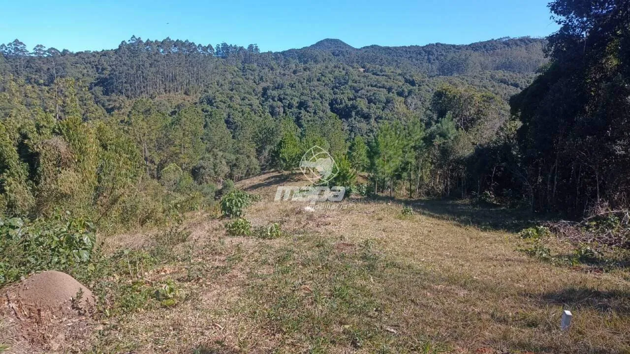Terreno Rural à venda, Centro - Doutor Pedrinho/SC — foto 4