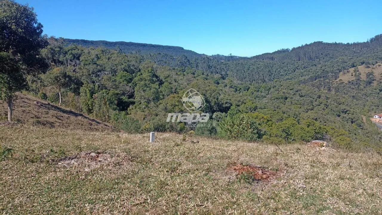 Terreno Rural à venda, Centro - Doutor Pedrinho/SC — foto 5