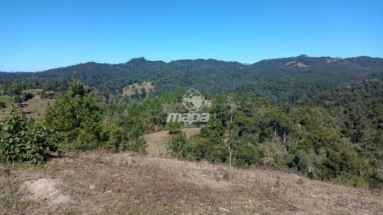 Terreno Rural à venda, Centro - Doutor Pedrinho/SC — foto 6