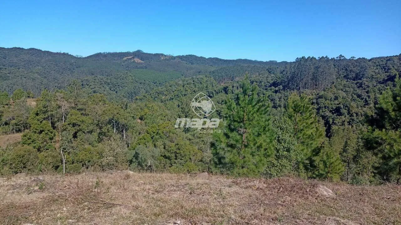 Terreno Rural à venda, Centro - Doutor Pedrinho/SC — foto 7