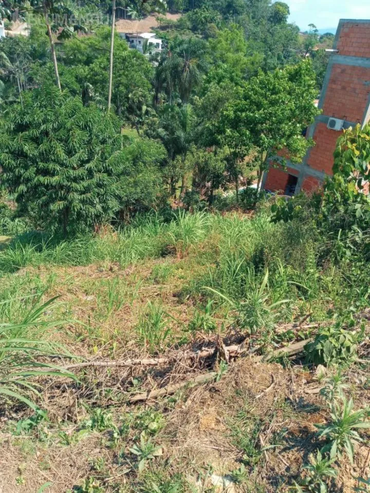 Terreno no Bairro Fortaleza com 1.300,58 m, com 18,50m de frente, em ótima localização. — foto 3