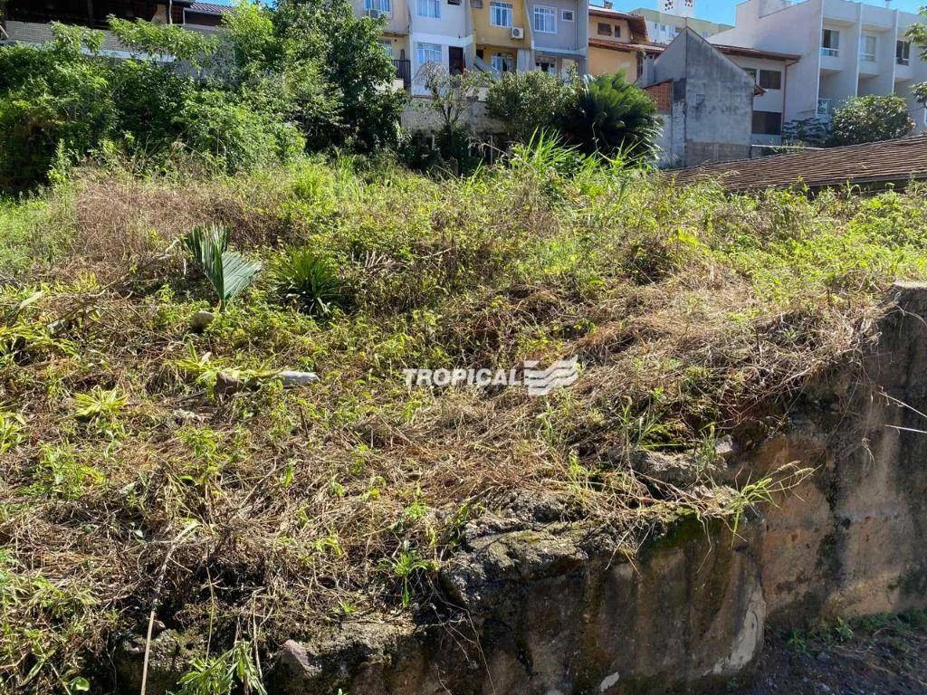 Terreno à venda, 392 m por R$ 420.000,00 - Velha - Blumenau/SC — foto 7