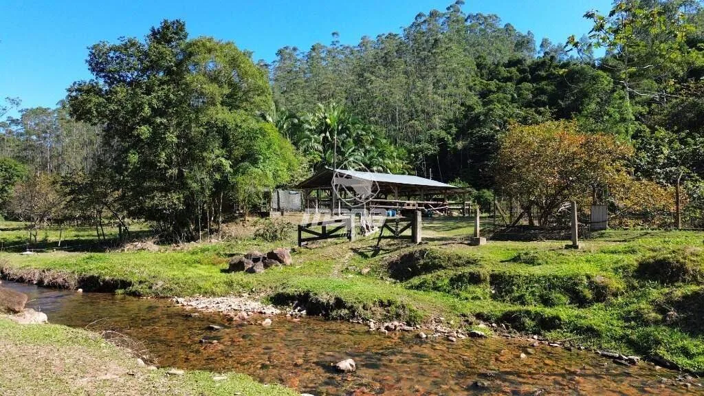 Otimo Silito com 300.000m 2 - foto 1