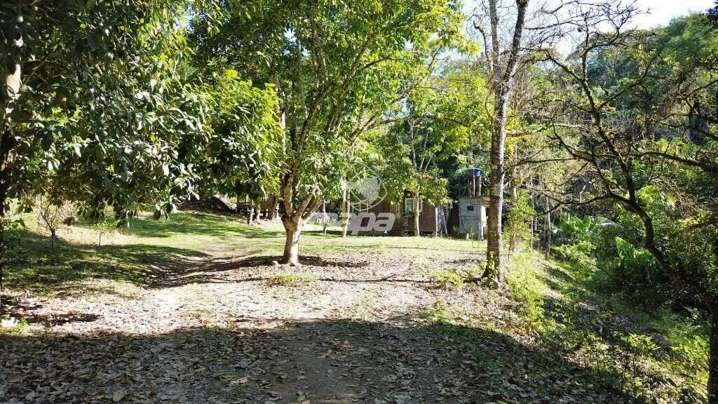 Otimo Silito com 300.000m 2 — foto 6