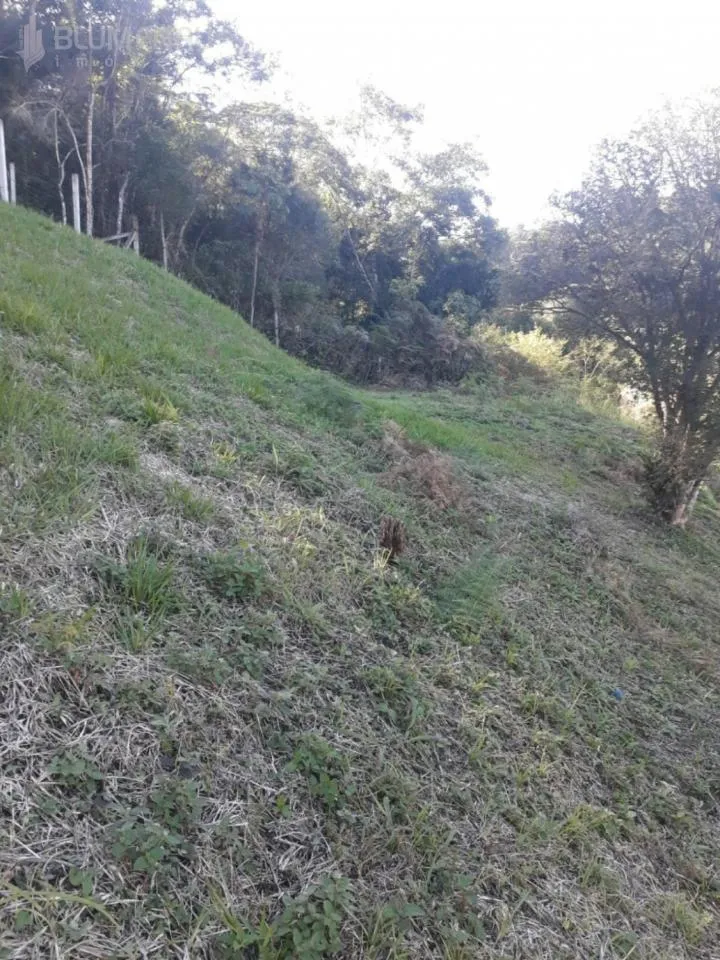 Terreno no Bairro Progresso, com 1.240 m, escriturado. — foto 3