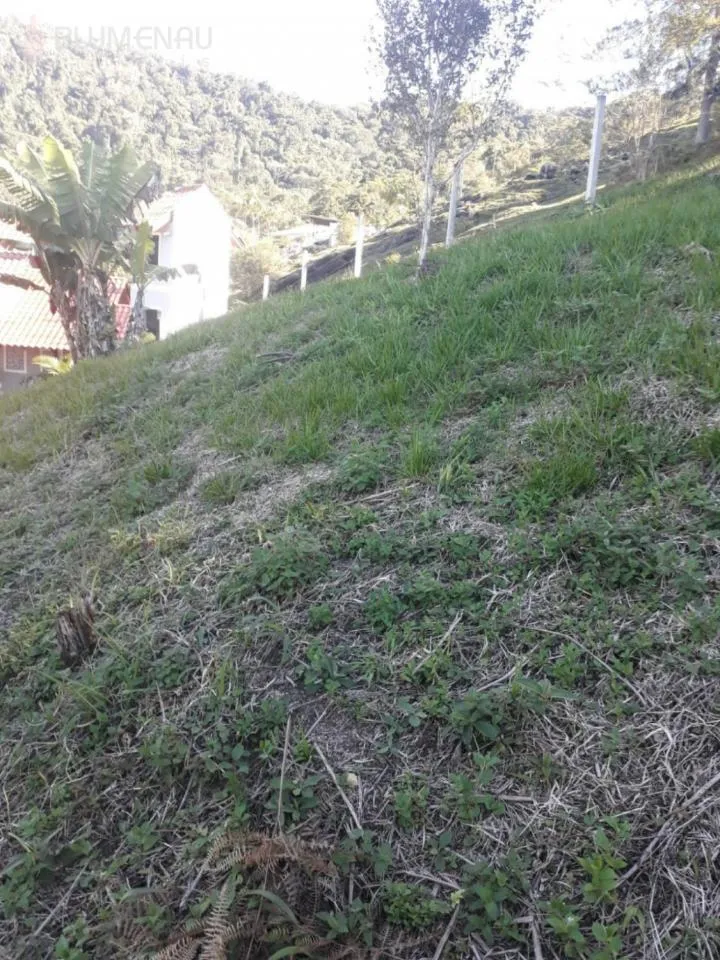 Terreno no Bairro Progresso, com 1.240 m, escriturado. — foto 4