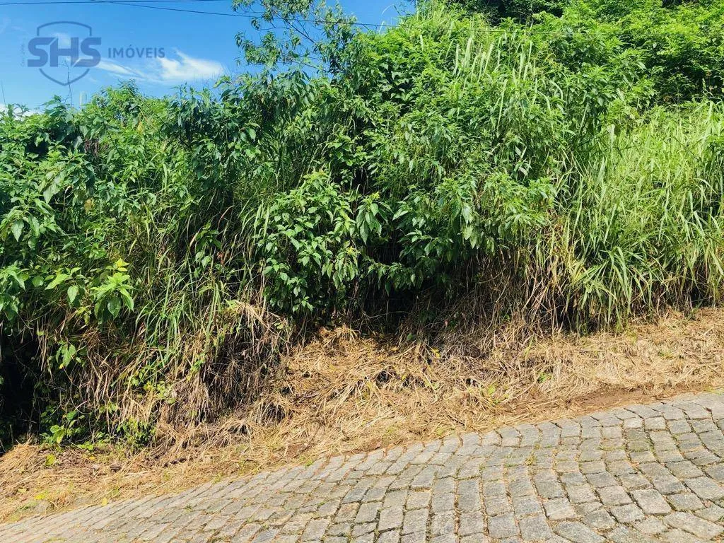 Terreno à venda, 450 m por R$ 219.000,00 - Asilo - Blumenau/SC — foto 2