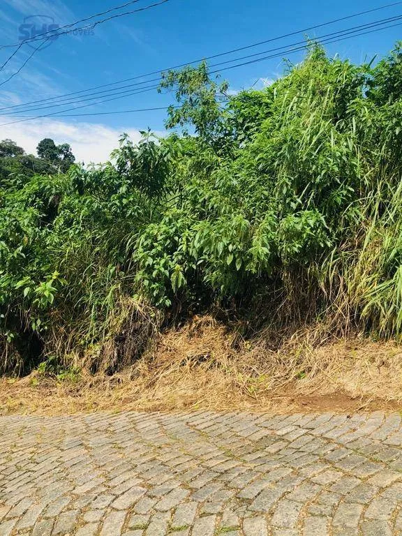 Terreno à venda, 450 m por R$ 219.000,00 - Asilo - Blumenau/SC — foto 3