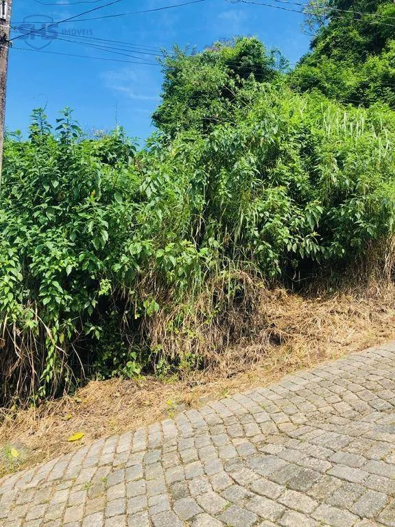 Terreno à venda, 450 m por R$ 219.000,00 - Asilo - Blumenau/SC — foto 7