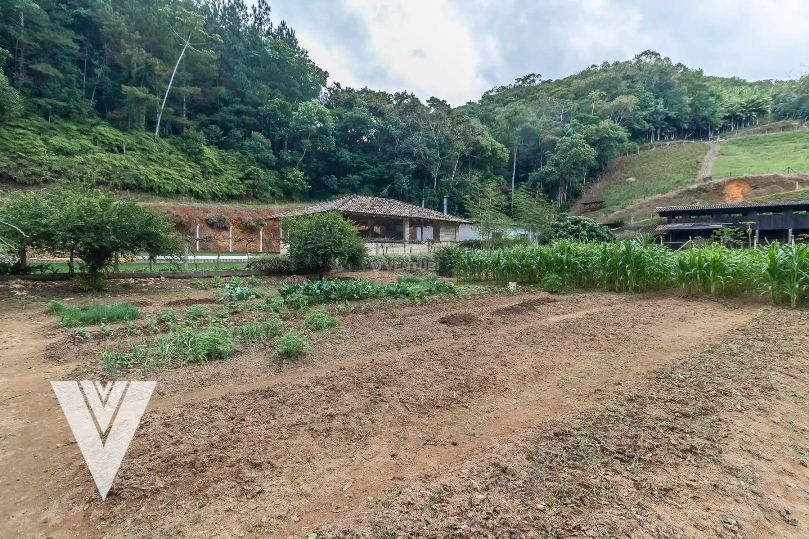 Chácara com 2 dormitórios à venda, 51157 m por R$ 1.630.000,00 - Belchior Alto - Gaspar/SC — foto 5