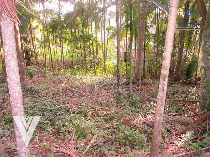 Terreno à venda, 434 m por R$ 250.000,00 - Velha - Blumenau/SC — foto 5