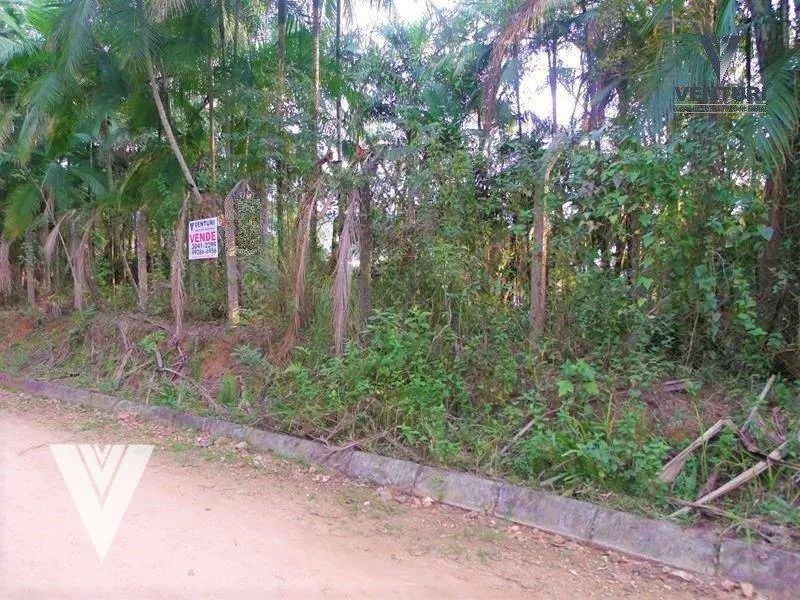 Terreno à venda, 434 m por R$ 250.000,00 - Velha - Blumenau/SC — foto 2