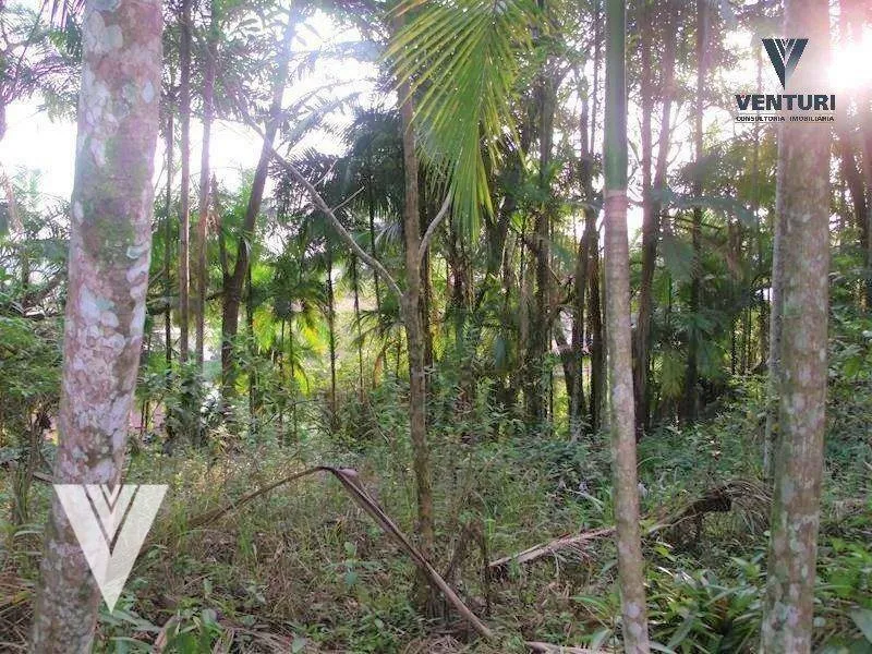 Terreno à venda, 434 m por R$ 250.000,00 - Velha - Blumenau/SC — foto 4