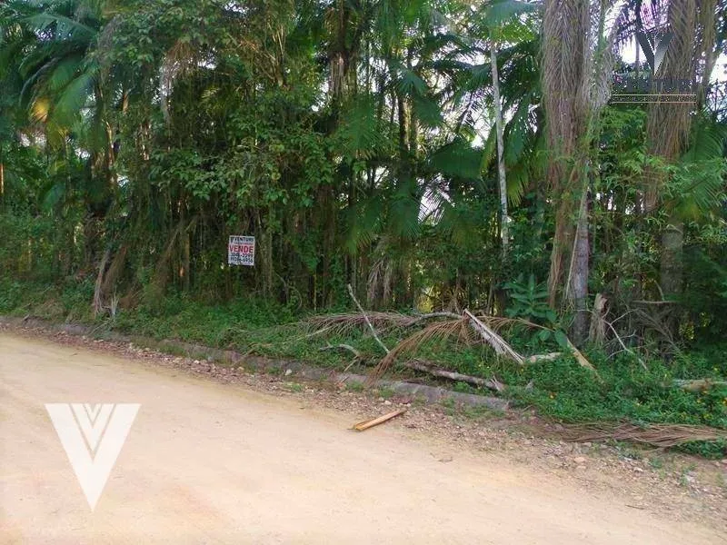 Terreno à venda, 437 m por R$ 250.000,00 - Velha - Blumenau/SC — foto 2