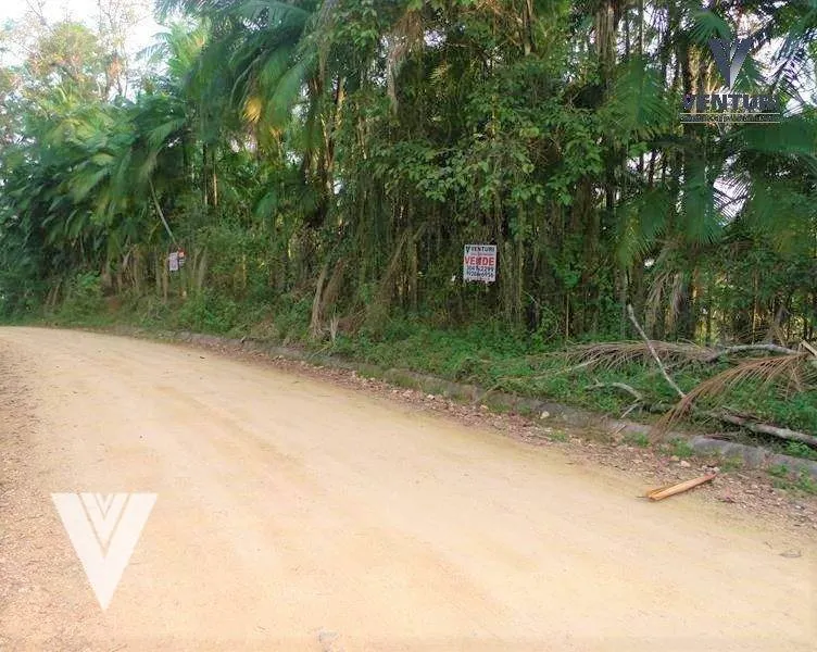 Terreno à venda, 437 m por R$ 250.000,00 - Velha - Blumenau/SC — foto 3