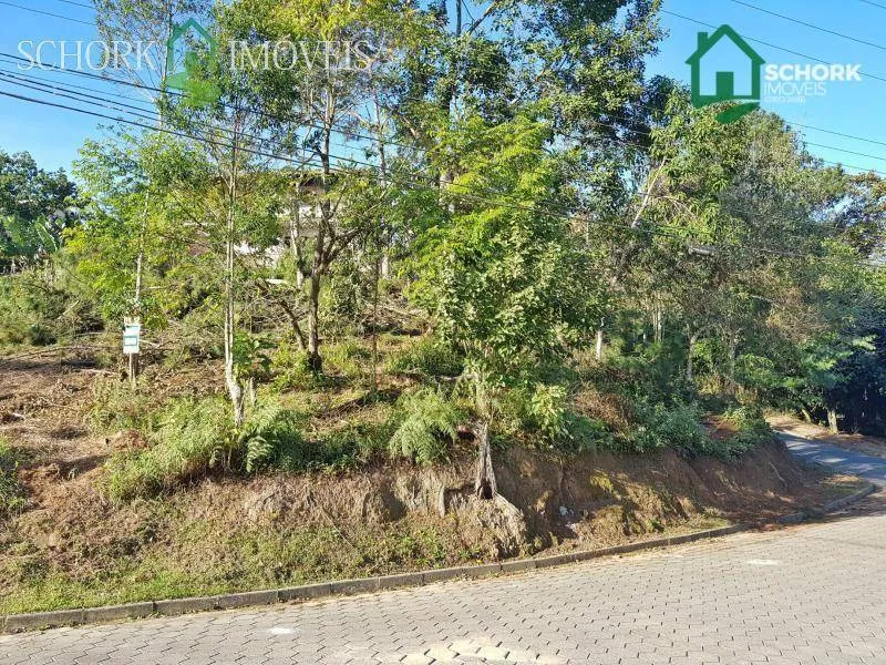 Terreno à venda, 363 m por R$ 250.000,00 - Ponta Aguda - Blumenau/SC — foto 7