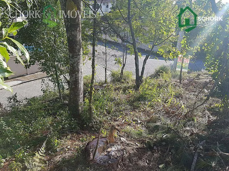 Terreno à venda, 363 m por R$ 250.000,00 - Ponta Aguda - Blumenau/SC — foto 3