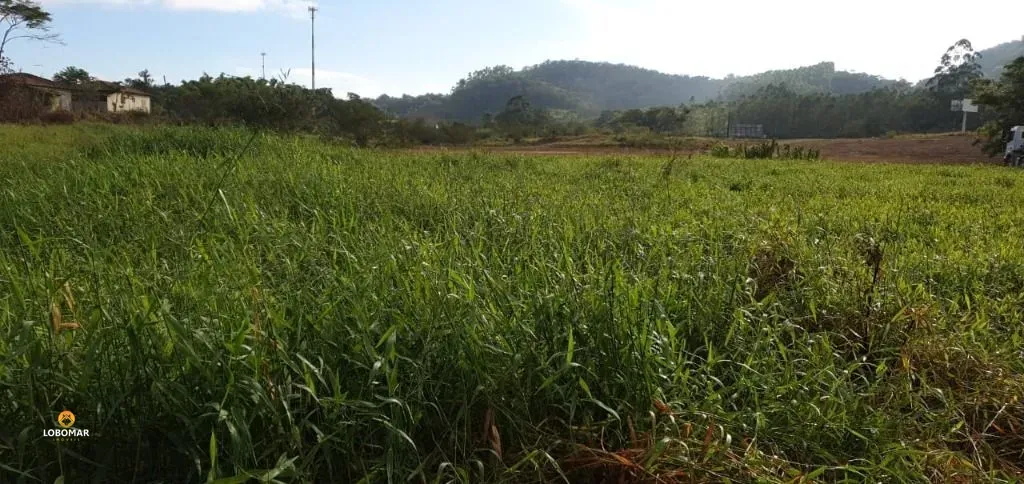 Área à venda, 72513 m por R$ 20.000.000,00 - Itapocú - Araquari/SC - foto 1