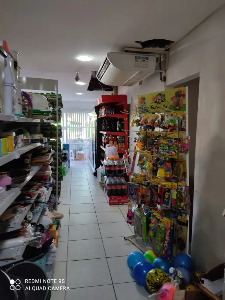 Mercado na Itoupava Norte - foto 1