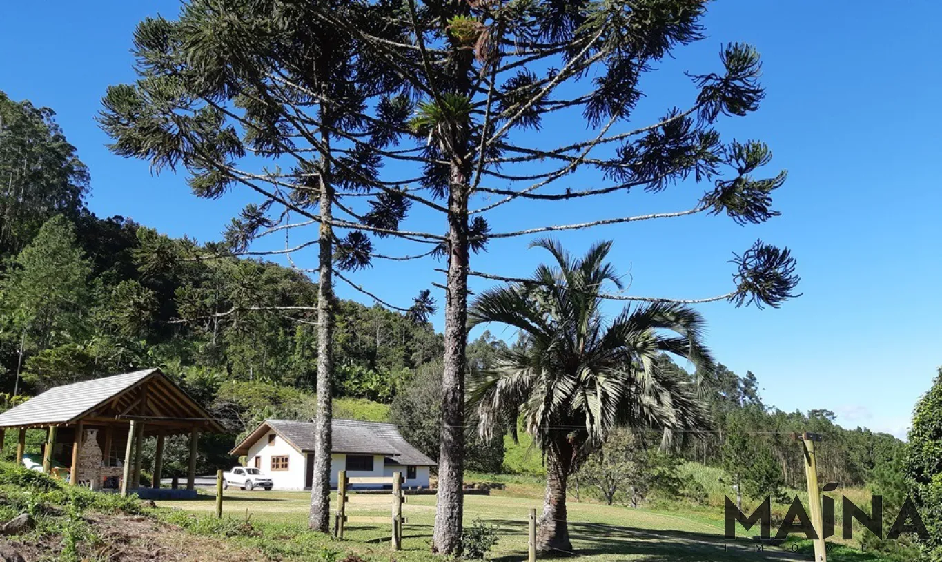 Excelente investimento residencial ou para turismo em Pomerode — foto 5