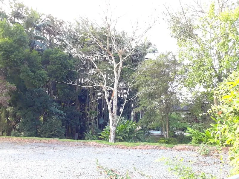 Excelente terreno em área nobre de Blumenau! — foto 3