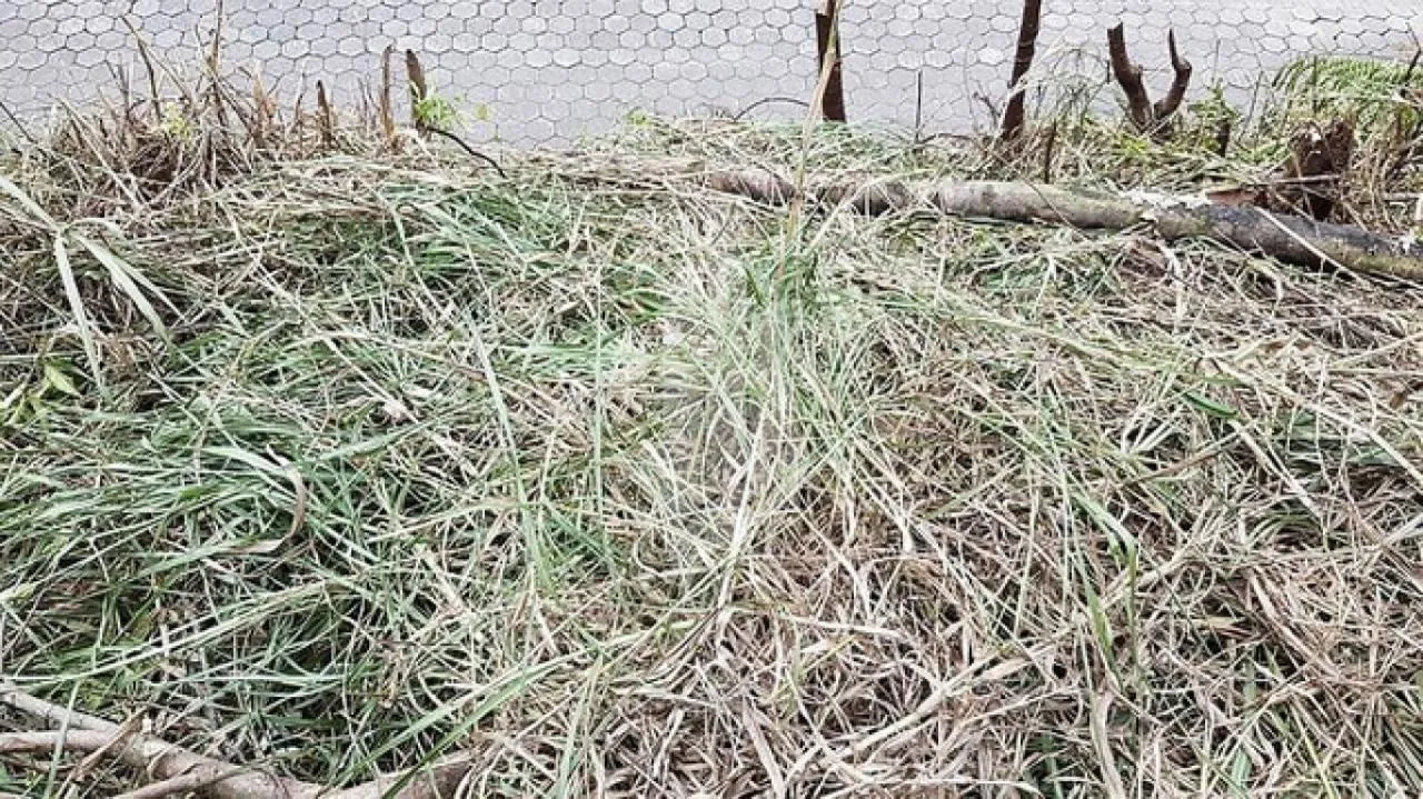 Terreno com 684m no bairro do Salto/Escola Agrícola — foto 6