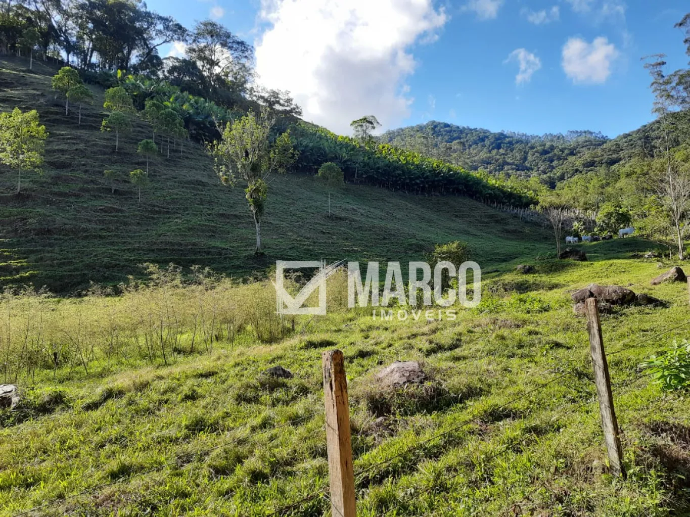 Terreno Maravilhoso em Testo Alto — foto 6