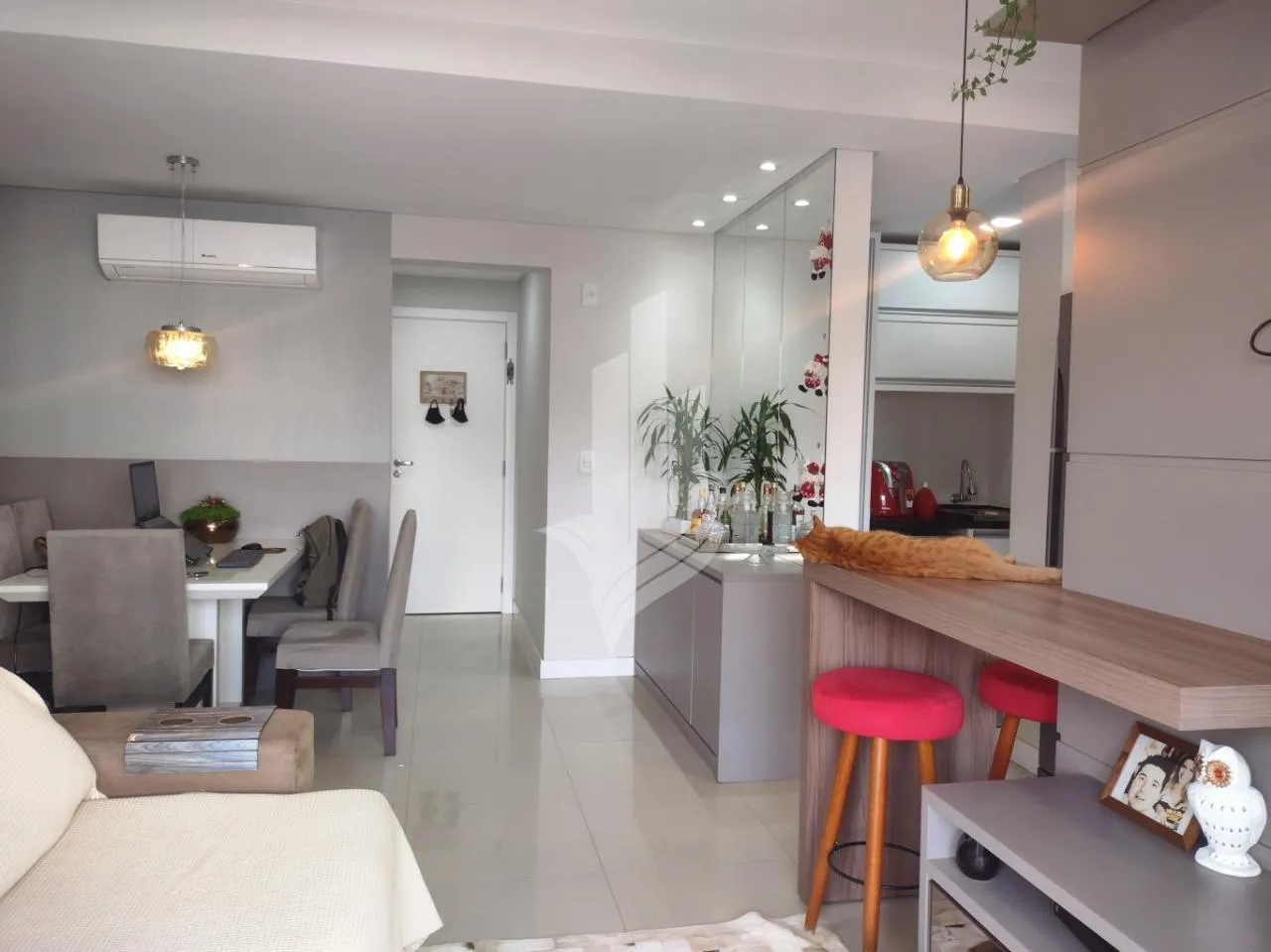 Apartamento com terraço localizado no Bairro Velha — foto 5