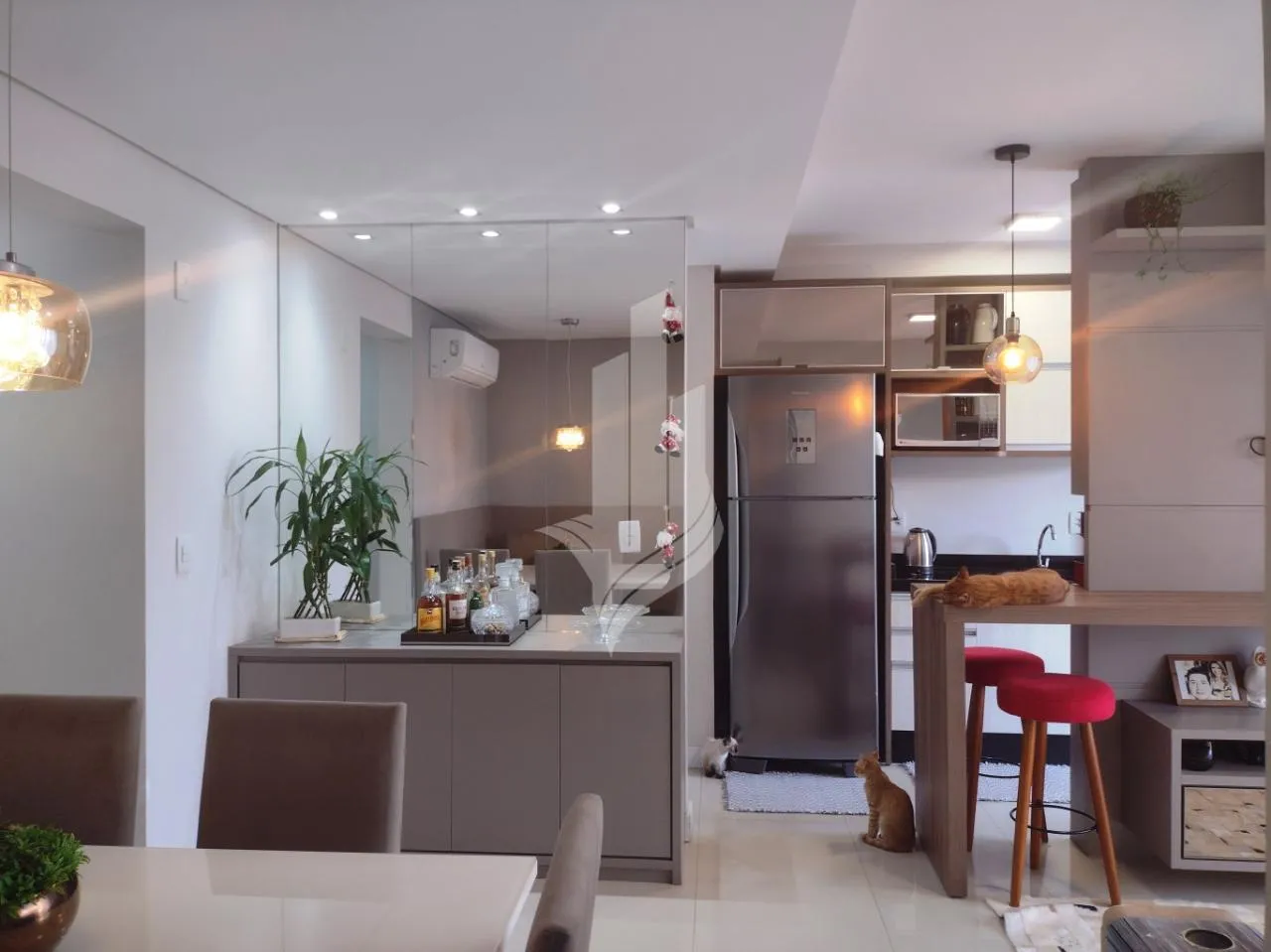 Apartamento com terraço localizado no Bairro Velha — foto 6