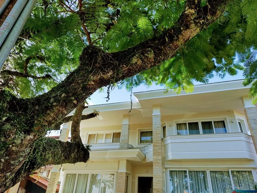 Casa em Florianópolis — foto 3