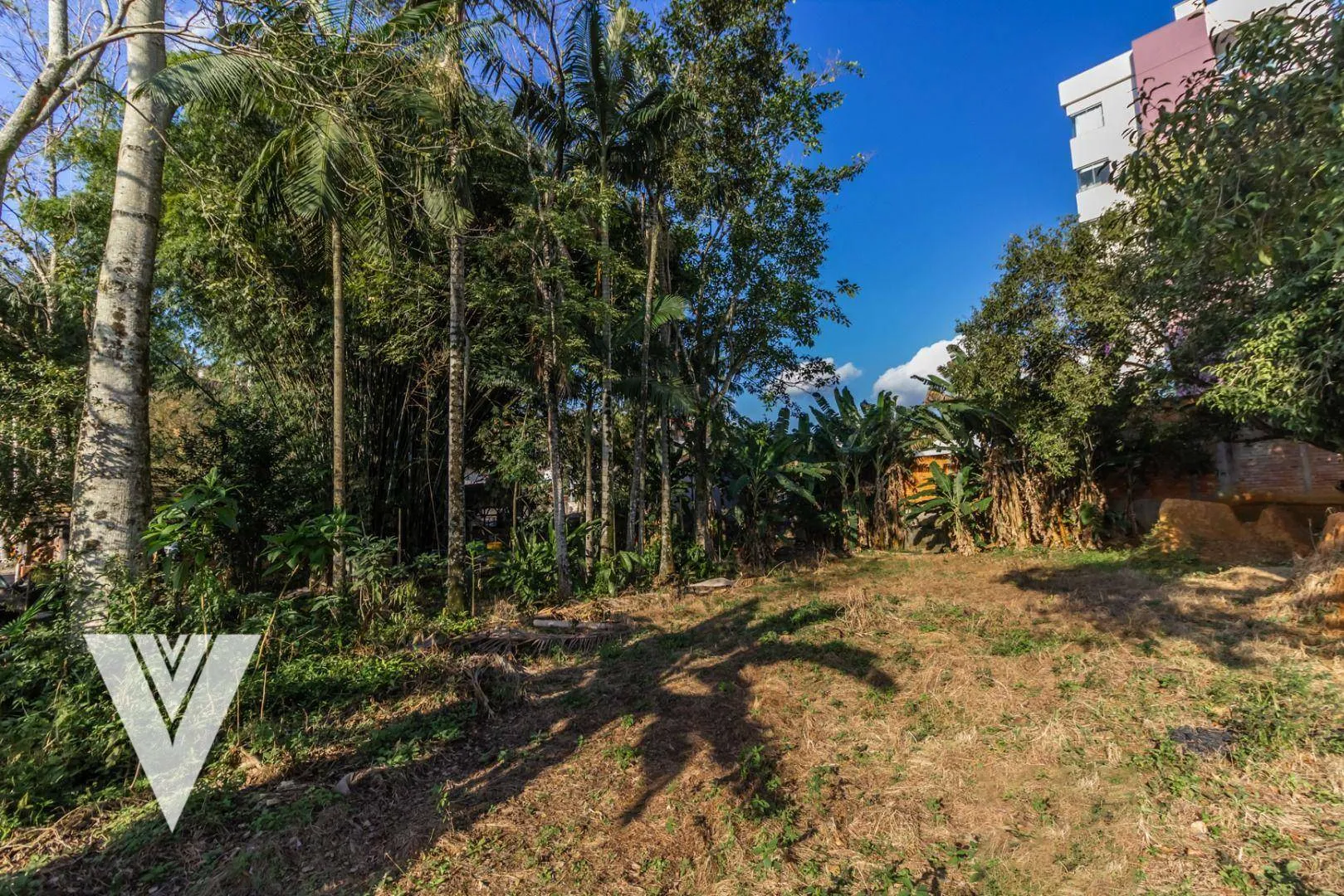 Terreno à venda, 2200 m por R$ 2.100.000,00 - Água Verde - Blumenau/SC — foto 3