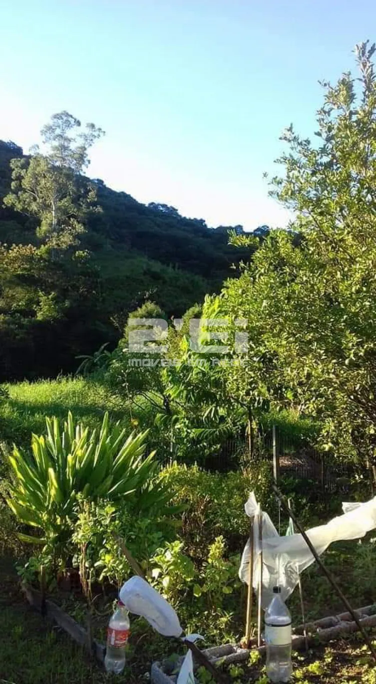 TERRENO ASCURRA 9.366M - foto 1