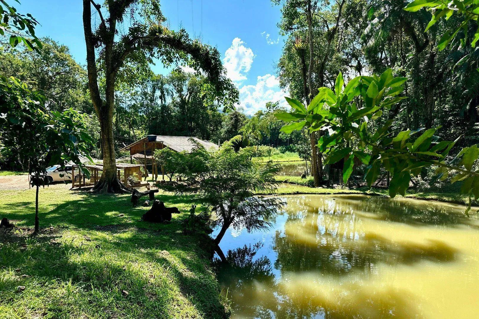 Sitio em Pomerode — foto 3