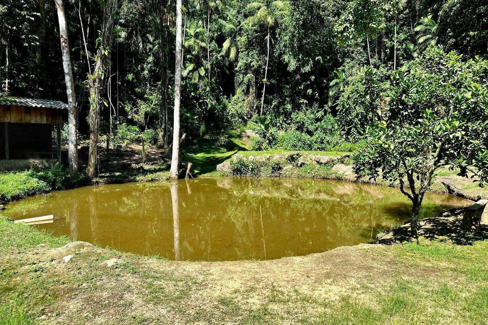 Sitio em Pomerode — foto 6