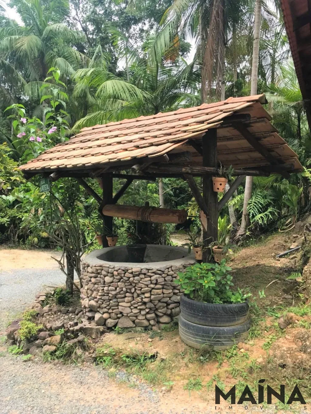 Sítio pertinho do Centro em Blumenau ! — foto 6