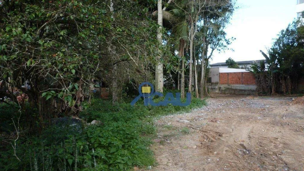 Terreno à venda, 2197 m por R$ 2.100.000,00 - Velha - Blumenau/SC — foto 3