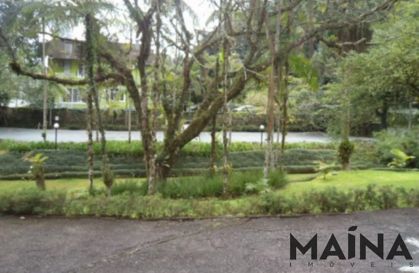 Casa no centro com amplo terreno em Blumenau — foto 4