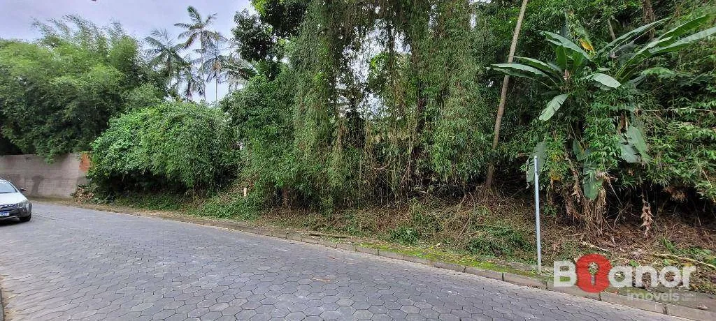 Terreno à venda, 2316 m por R$ 390.000,00 - Salto do Norte - Blumenau/SC — foto 2