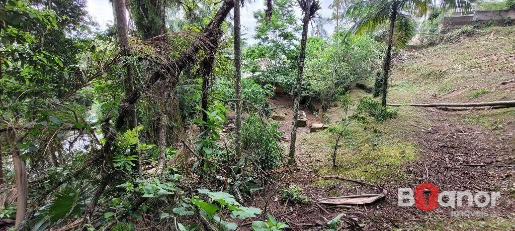Terreno à venda, 2316 m por R$ 390.000,00 - Salto do Norte - Blumenau/SC — foto 3