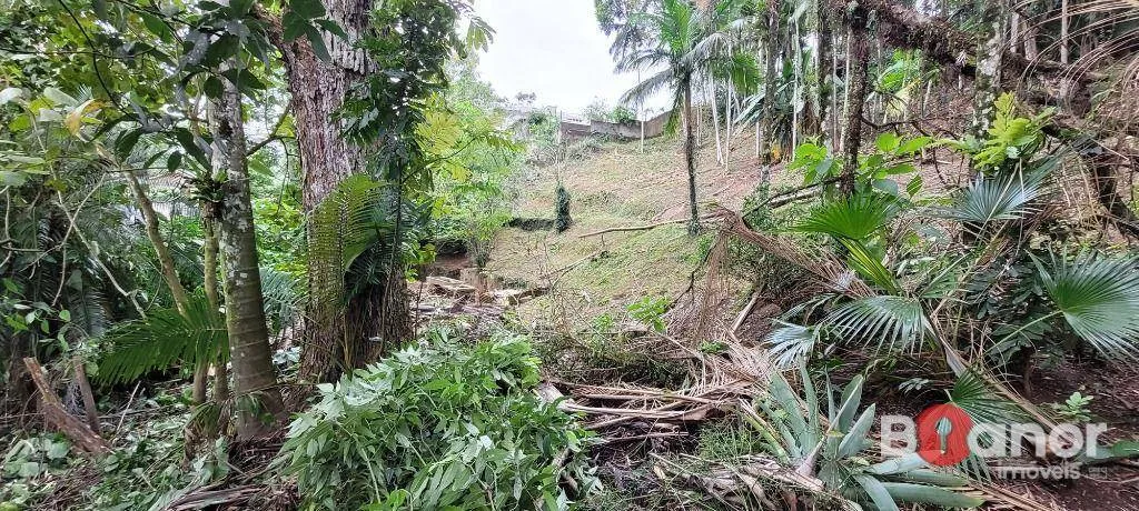 Terreno à venda, 2316 m por R$ 390.000,00 - Salto do Norte - Blumenau/SC — foto 4