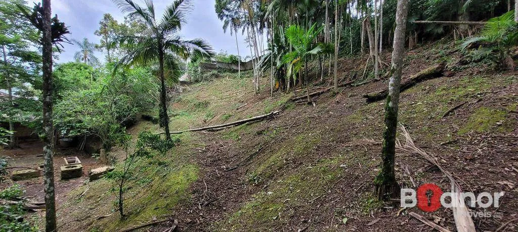 Terreno à venda, 2316 m por R$ 390.000,00 - Salto do Norte - Blumenau/SC — foto 6