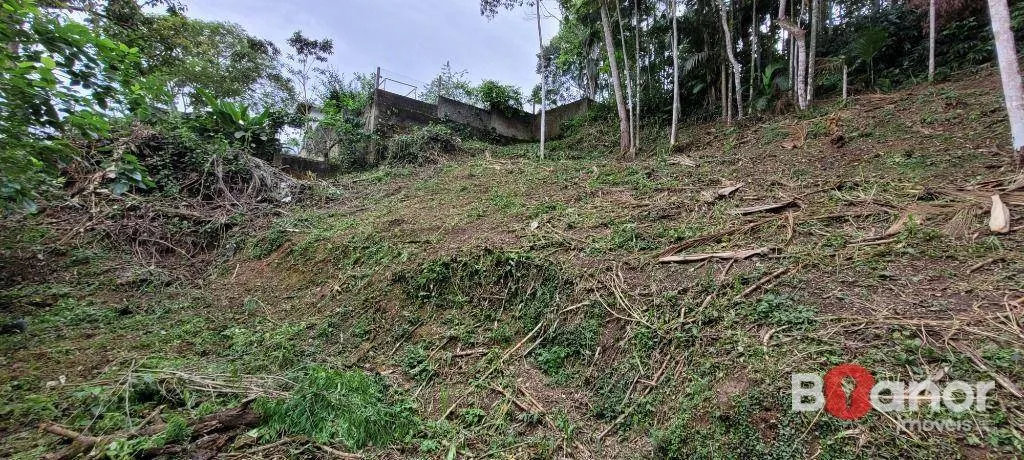 Terreno à venda, 2316 m por R$ 390.000,00 - Salto do Norte - Blumenau/SC — foto 7