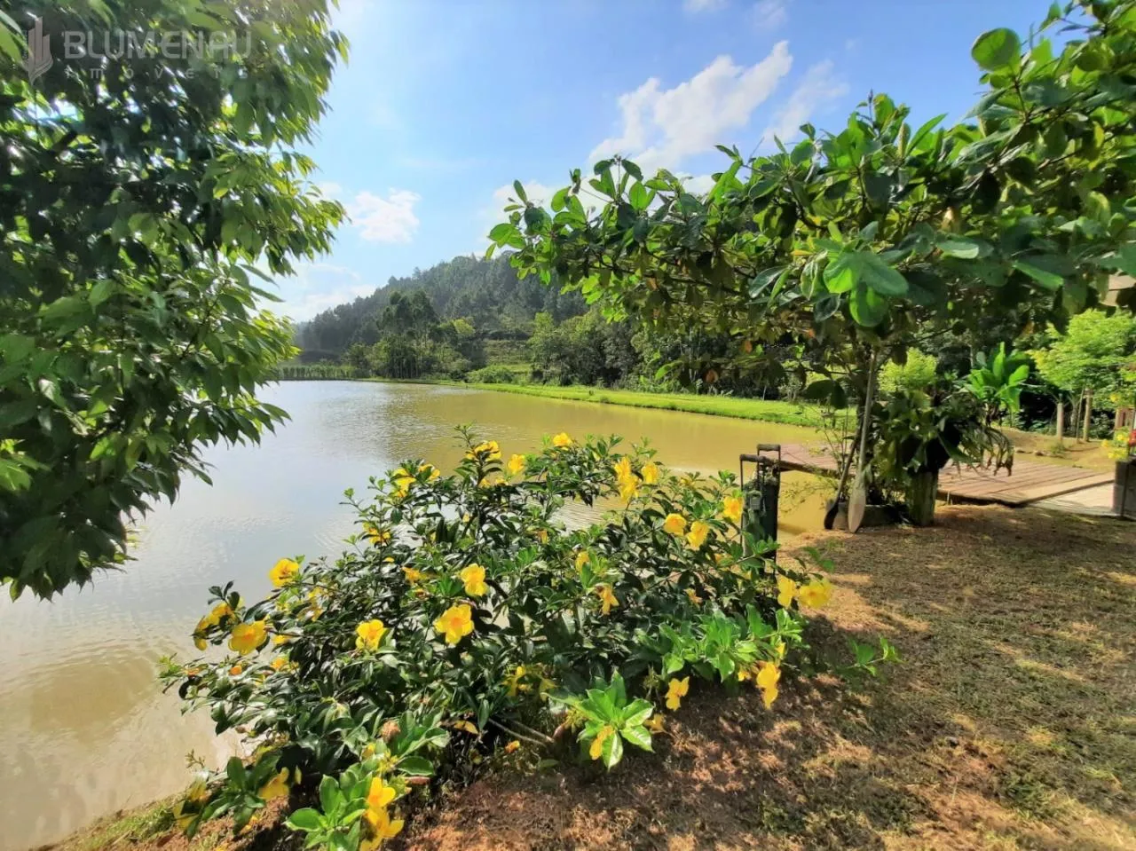 Sitio com 7.900m com lagoa, ribeirão no bairro Vila Itoupava - foto 1
