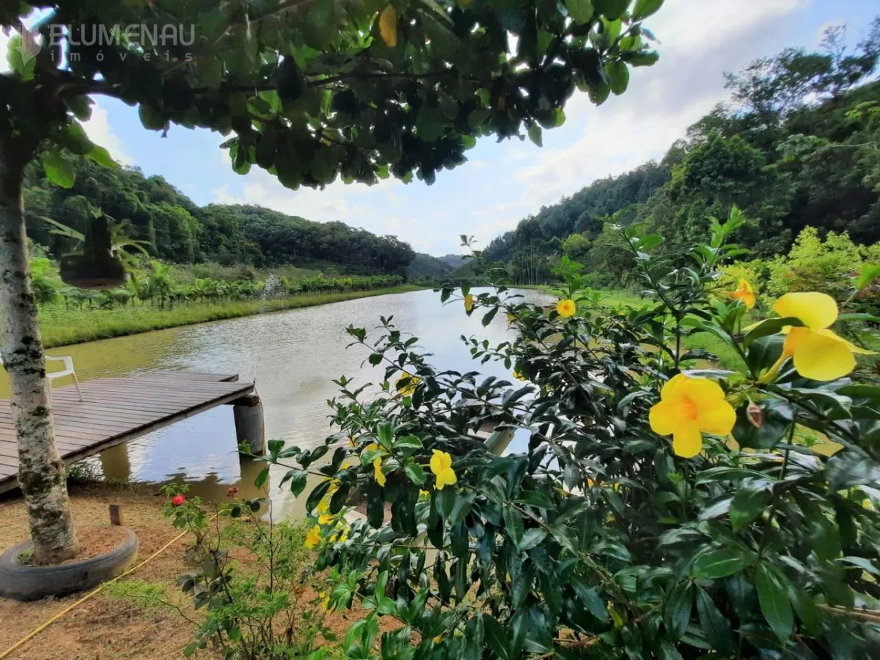Sitio com 7.900m com lagoa, ribeirão no bairro Vila Itoupava — foto 2